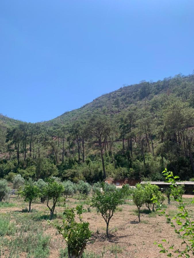 Doga Ciftlik Konaklama Marmaris Buitenkant foto