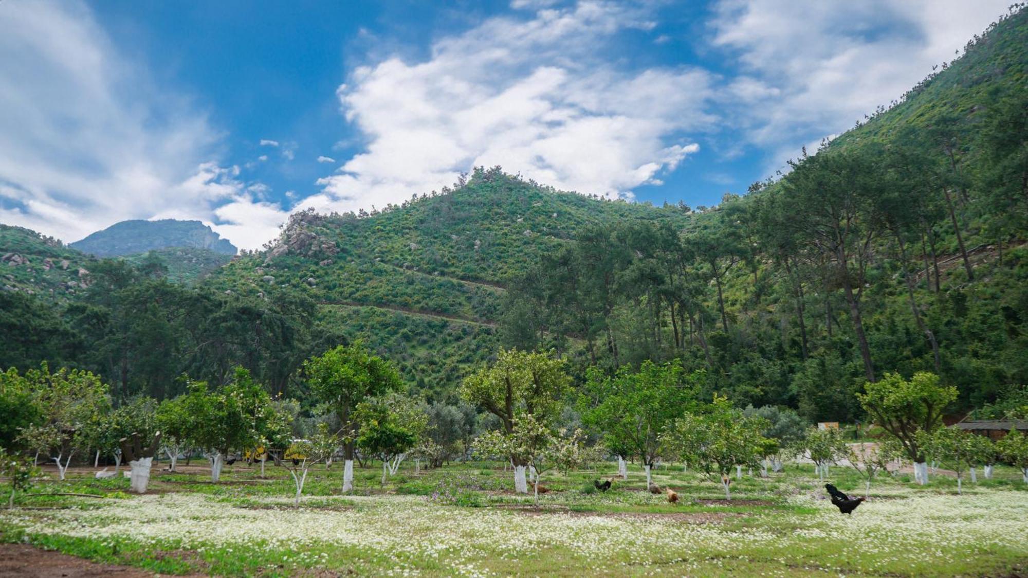 Doga Ciftlik Konaklama Marmaris Buitenkant foto